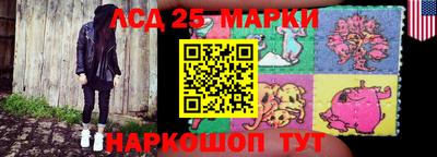 шишки Будённовск