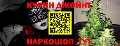 шишки Будённовск