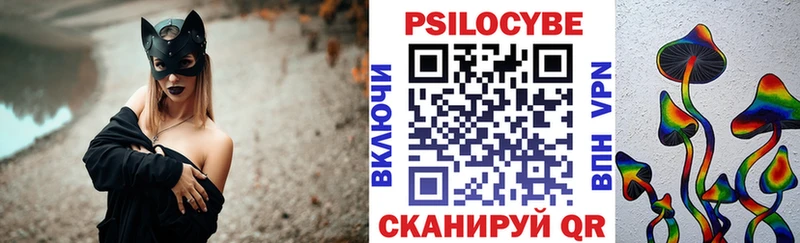 Галлюциногенные грибы Psilocybine cubensis Бузулук