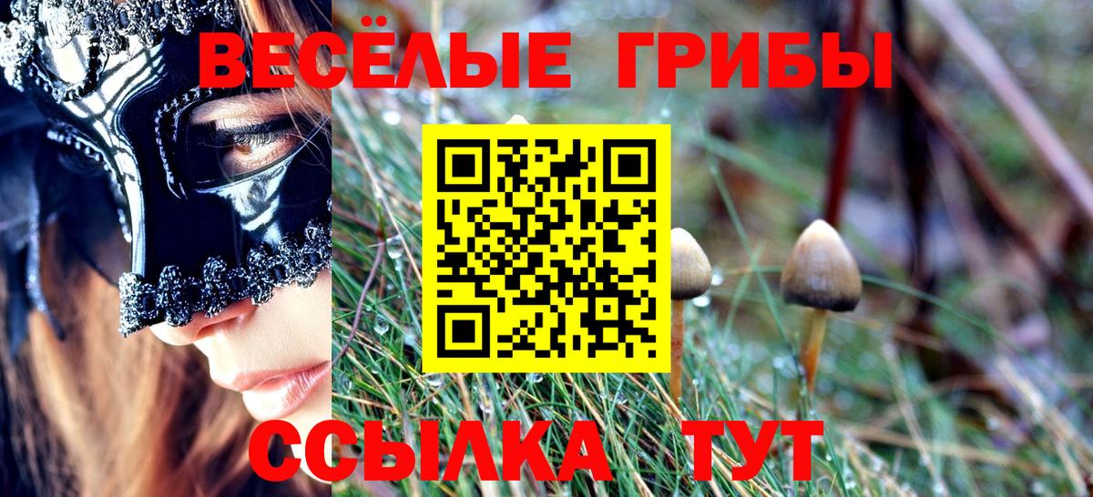 Галлюциногенные грибы прущие грибы  Вход с VPN  Псилоцибиновые грибы GOLDEN TEACHER  Бузулук 